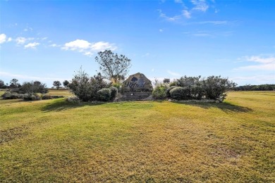 Have you ever vacationed in a luxury resort and wished you could on The Retreat in Texas - for sale on GolfHomes.com, golf home, golf lot