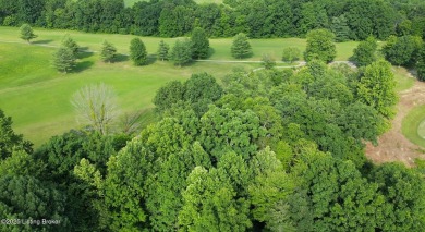 Lot 4 - 16.4+/- Acres in Leitchfield, KY

Discover an on Legacy Golf Course in Kentucky - for sale on GolfHomes.com, golf home, golf lot