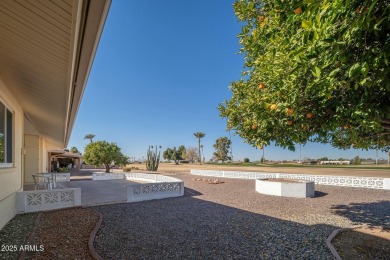 LOOKING FOR A 3 BEDROOM 2 BATH HOME ON THE GOLF COURSE? THIS on Sun City Lakes West and East in Arizona - for sale on GolfHomes.com, golf home, golf lot