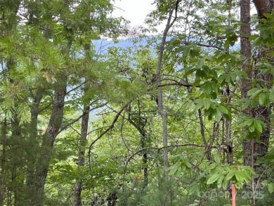 Private lot with mountain & golf course views in the highly on Brights Creek Golf Course in North Carolina - for sale on GolfHomes.com, golf home, golf lot