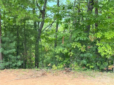 Private lot with mountain & golf course views in the highly on Brights Creek Golf Course in North Carolina - for sale on GolfHomes.com, golf home, golf lot