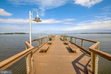 Presenting 33564 Windswept, an exceptional top-floor coastal on The Peninsula Golf and Country Club in Delaware - for sale on GolfHomes.com, golf home, golf lot