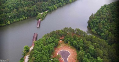 Experience breathtaking water views and a stunning perspective on Currahee Golf Club in Georgia - for sale on GolfHomes.com, golf home, golf lot