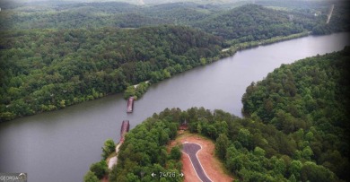 Experience breathtaking water views and a stunning perspective on Currahee Golf Club in Georgia - for sale on GolfHomes.com, golf home, golf lot