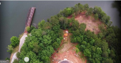 Experience breathtaking water views and a stunning perspective on Currahee Golf Club in Georgia - for sale on GolfHomes.com, golf home, golf lot
