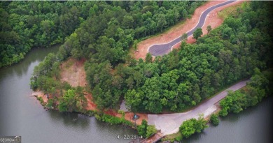 Experience breathtaking water views and a stunning perspective on Currahee Golf Club in Georgia - for sale on GolfHomes.com, golf home, golf lot