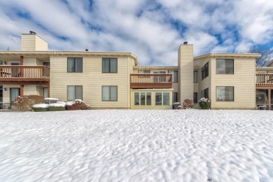 Lovely ground floor condo with fantastic views of the pond and on The Moors Golf Club in Michigan - for sale on GolfHomes.com, golf home, golf lot