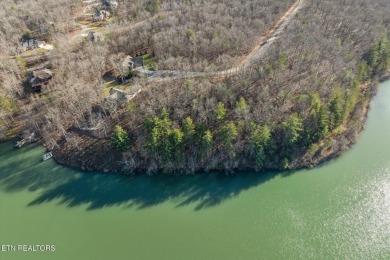 LAKEFRONT!! Beautiful private lot on magnificent Lake on Druid Hills Golf Club in Tennessee - for sale on GolfHomes.com, golf home, golf lot