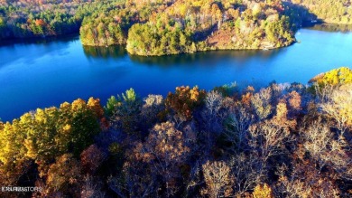 LAKEFRONT!! Beautiful private lot on magnificent Lake on Druid Hills Golf Club in Tennessee - for sale on GolfHomes.com, golf home, golf lot
