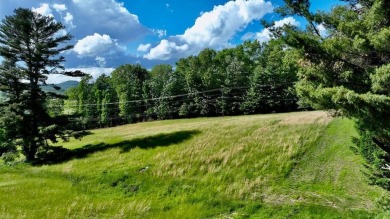 Amazing 6.051 land tract in the Coolest Town in America. This on Lewisburg Elks Country Club in West Virginia - for sale on GolfHomes.com, golf home, golf lot