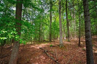 Amazing 6.051 land tract in the Coolest Town in America. This on Lewisburg Elks Country Club in West Virginia - for sale on GolfHomes.com, golf home, golf lot
