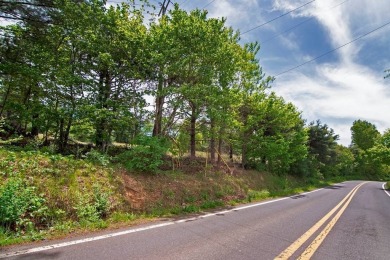 Amazing 6.051 land tract in the Coolest Town in America. This on Lewisburg Elks Country Club in West Virginia - for sale on GolfHomes.com, golf home, golf lot