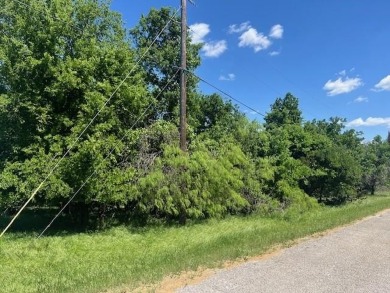 Come enjoy all the fun times and make memories for a life time on White Bluff Resort - Old Course in Texas - for sale on GolfHomes.com, golf home, golf lot