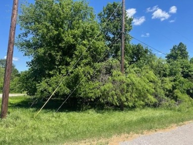 Come enjoy all the fun times and make memories for a life time on White Bluff Resort - Old Course in Texas - for sale on GolfHomes.com, golf home, golf lot