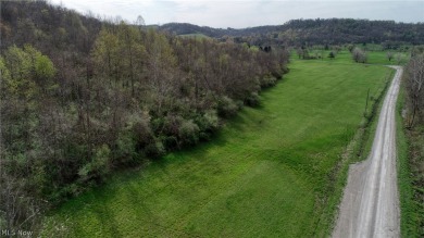 A rare find, acreage close to Seneca Lake. Location is on Whiskey Run Golf Course in Ohio - for sale on GolfHomes.com, golf home, golf lot