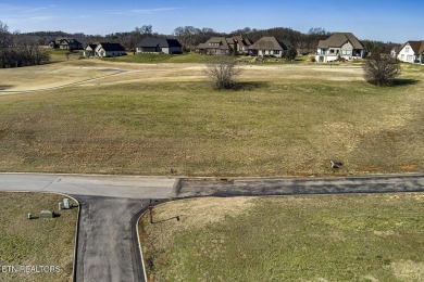 Beautiful GOLF FRONT LOT at the fourteenth tee box WITH LAKE on Rarity Bay Country Club - Loudon in Tennessee - for sale on GolfHomes.com, golf home, golf lot