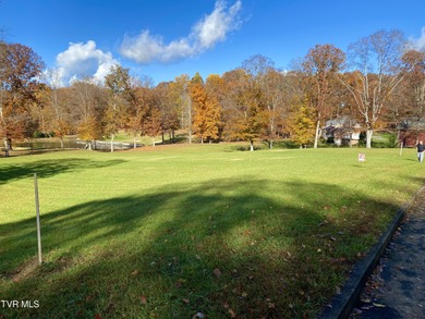 Build Your Dream Home in a Golf Course Community! Discover these on Graysburg Hills Golf Courses in Tennessee - for sale on GolfHomes.com, golf home, golf lot