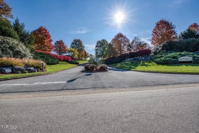 Build Your Dream Home in a Golf Course Community! Discover these on Graysburg Hills Golf Courses in Tennessee - for sale on GolfHomes.com, golf home, golf lot