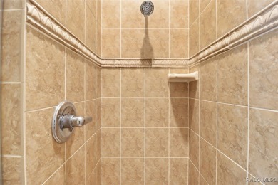 Welcome to your modern courtyard sanctuary nestled in the heart on Skyview At Terra Vista Golf and Country Club in Florida - for sale on GolfHomes.com, golf home, golf lot