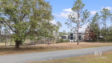 Exceptional opportunity to build in the prestigious, gated on Steelwood Country Club in Alabama - for sale on GolfHomes.com, golf home, golf lot