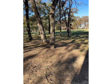 This just over 1-acre build-to-suit lot can be subdivided and on Pinnacle Golf and Boat Club in Texas - for sale on GolfHomes.com, golf home, golf lot