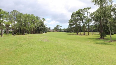 Welcome to Killarney Court, one of the best little cul-de-sacs on The Eagles Golf Course and Club in Florida - for sale on GolfHomes.com, golf home, golf lot