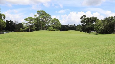 Welcome to Killarney Court, one of the best little cul-de-sacs on The Eagles Golf Course and Club in Florida - for sale on GolfHomes.com, golf home, golf lot