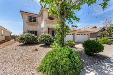 This stunning home features a temperature-controlled, insulated on Rio Secco Golf Club in Nevada - for sale on GolfHomes.com, golf home, golf lot