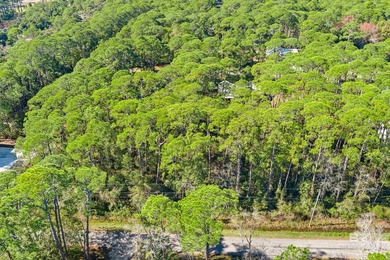 Beautiful wooded residential lot on Dauphin Island, measuring on Isle Dauphine Club Golf Course in Alabama - for sale on GolfHomes.com, golf home, golf lot
