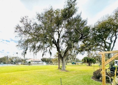 Homes in Schalamar Creek Golf & Country Club, a gated 55+ on Schalamar Creek Golf and Country Club in Florida - for sale on GolfHomes.com, golf home, golf lot