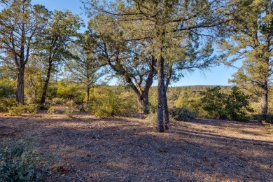 This large golf course lot is nestled within the serene embrace on The Rim Golf Club in Arizona - for sale on GolfHomes.com, golf home, golf lot