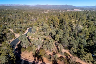 This large golf course lot is nestled within the serene embrace on The Rim Golf Club in Arizona - for sale on GolfHomes.com, golf home, golf lot