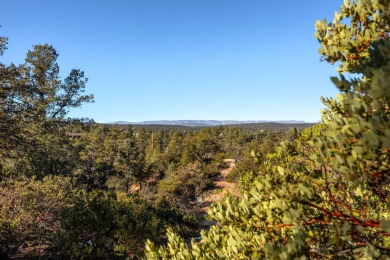 This large golf course lot is nestled within the serene embrace on The Rim Golf Club in Arizona - for sale on GolfHomes.com, golf home, golf lot