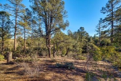 This large golf course lot is nestled within the serene embrace on The Rim Golf Club in Arizona - for sale on GolfHomes.com, golf home, golf lot