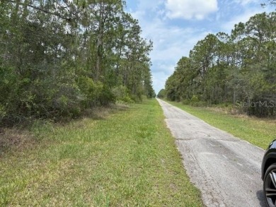 50 ACRE LOT CENTRAL FLORIDA! 1/2 acre lot on Plumosa Dr. in on Indian Lake Estates Golf and Country Club in Florida - for sale on GolfHomes.com, golf home, golf lot