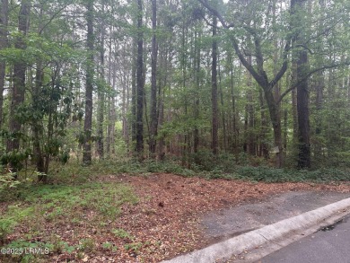 Discover the perfect blend of privacy and convenience with this on Ladys Island Country Club in South Carolina - for sale on GolfHomes.com, golf home, golf lot