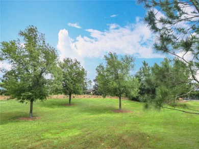 Experience the charm of this spacious and beautifully appointed on Stone Creek Golf Club in Florida - for sale on GolfHomes.com, golf home, golf lot