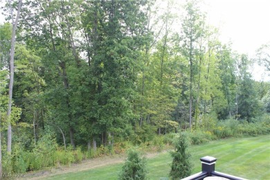 Experience elegance and comfort in this stunning stone-front on Club Walden in Ohio - for sale on GolfHomes.com, golf home, golf lot