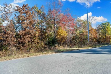 Building lot on a quiet neighborhoodo a third of an acre on Branchwood Golf Course in Arkansas - for sale on GolfHomes.com, golf home, golf lot