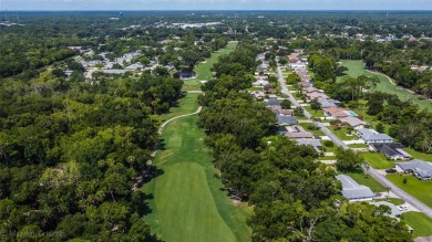 Escape to a peaceful, tree-lined oasis in this beautifully on Palm Harbor Golf Club in Florida - for sale on GolfHomes.com, golf home, golf lot