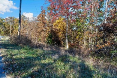 Building lot on a quiet neighborhoodo a third of an acre on Branchwood Golf Course in Arkansas - for sale on GolfHomes.com, golf home, golf lot