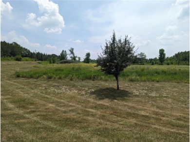 Great lot for building your new home right near Geneva Golf on Geneva Golf Club in Minnesota - for sale on GolfHomes.com, golf home, golf lot