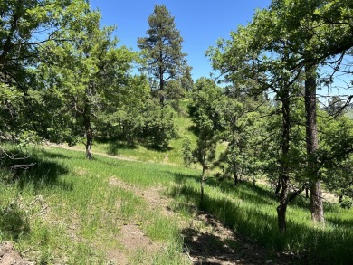 Welcome to this exclusive opportunity to own 17.25 acres in the on Elkhorn Ridge Golf Course in South Dakota - for sale on GolfHomes.com, golf home, golf lot