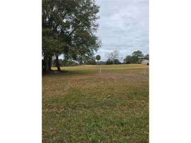 Why pay rent and mow your own lawn when you can enjoy all the on Continental Country Club in Florida - for sale on GolfHomes.com, golf home, golf lot