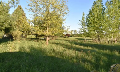 Amazing Opportunity in Sugar Springs *Northern Michigan's Best on Sugar Springs Country Club in Michigan - for sale on GolfHomes.com, golf home, golf lot