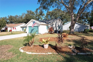 This stunning corner-lot home in Tara View Village is a true gem on Plantation Golf Club in Florida - for sale on GolfHomes.com, golf home, golf lot