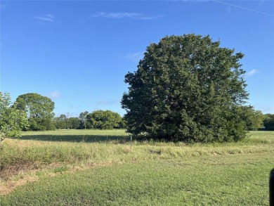 Several tracts that total 1.5+-acres in the City of West on Tawakoni Golf Course in Texas - for sale on GolfHomes.com, golf home, golf lot