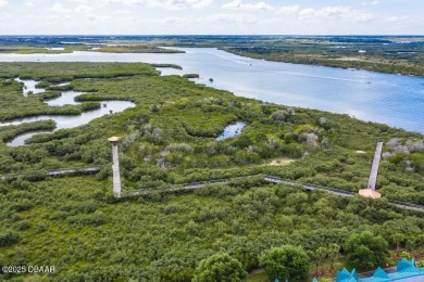 Harbour Village in Ponce Inlet is a fantastic spot for leisure on Harbour Village Golf and Yacht Club in Florida - for sale on GolfHomes.com, golf home, golf lot