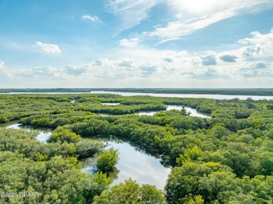 Harbour Village in Ponce Inlet is a fantastic spot for leisure on Harbour Village Golf and Yacht Club in Florida - for sale on GolfHomes.com, golf home, golf lot