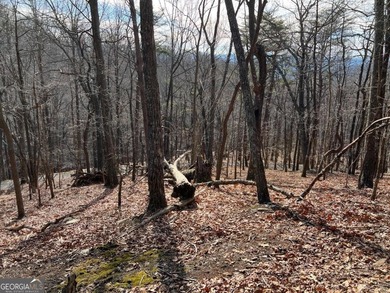 Price Improvement for 2026! This 1.21 acre lot is located on a on Bent Tree Golf Course in Georgia - for sale on GolfHomes.com, golf home, golf lot